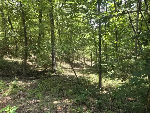 8 State Highway C, Purdy, MO 65734 photo 4