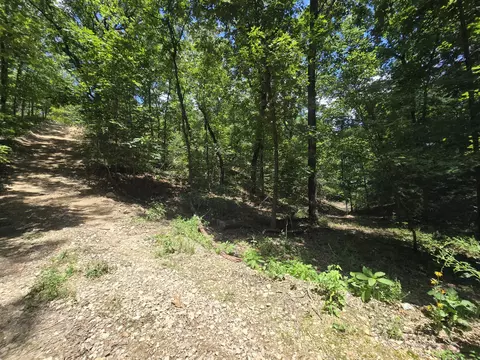 8 State Highway C, Purdy, MO 65734 photo 6