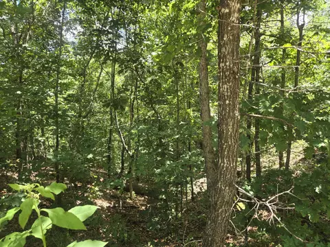 8 State Highway C, Purdy, MO 65734 photo 3