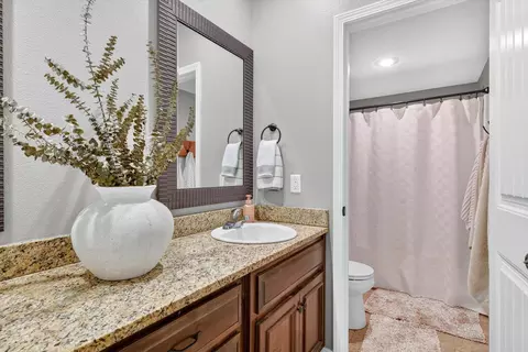 Bath - 1007 E Highview Dr, Ozark, MO 65721 photo 6 of 6