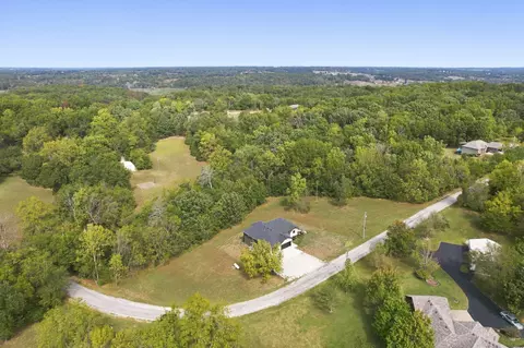 View/Area - 385 Plumtree Dr, Ozark, MO 65721 photo 5 of 7