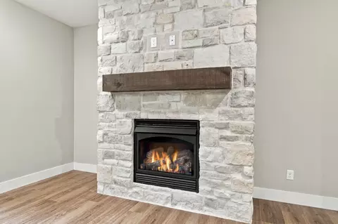 Living - 385 Plumtree Dr, Ozark, MO 65721 photo 5 of 6
