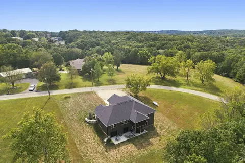 View/Area - 385 Plumtree Dr, Ozark, MO 65721 photo 4 of 7