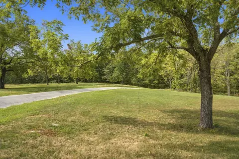 Exterior - 385 Plumtree Dr, Ozark, MO 65721 photo 13 of 13