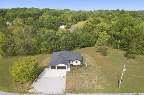 View/Area - 385 Plumtree Dr, Ozark, MO 65721 photo 3 of 7