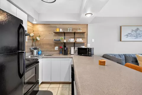 Kitchen - 14 Sinatra Ct UNIT 5, Branson West, MO 65737 photo 3 of 4