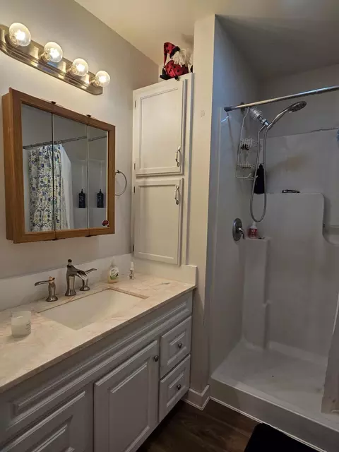 Bath - 22 Thomasville Rd, Buffalo, MO 65622 photo 3 of 4