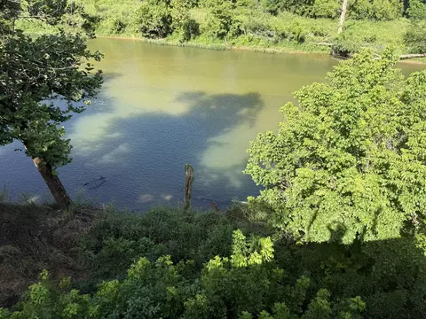 000 County Road 176, Dora, MO 65637 photo 2