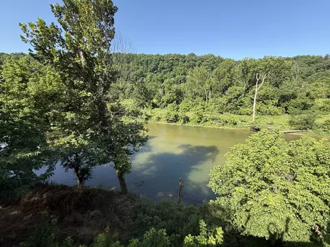 000 County Road 176, Dora, MO 65637 photo 5