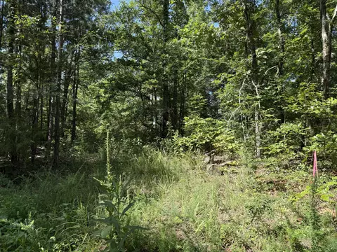 000 County Road 179, Dora, MO 65637 photo 4