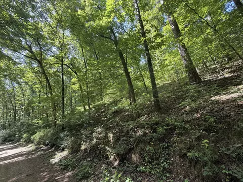 000 County Road 179, Dora, MO 65637 photo 3
