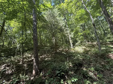 000 County Road 179, Dora, MO 65637 photo 2