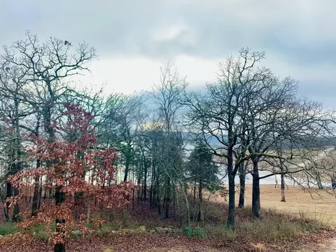 View/Area - 275 Ludora Dr, Shell Knob, MO 65747 photo 1 of 1