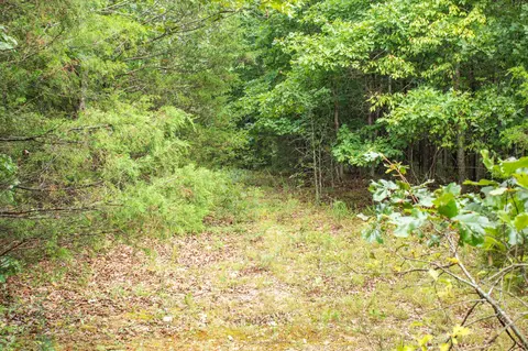 000 Highway 5, Squires, MO 65755 photo 32