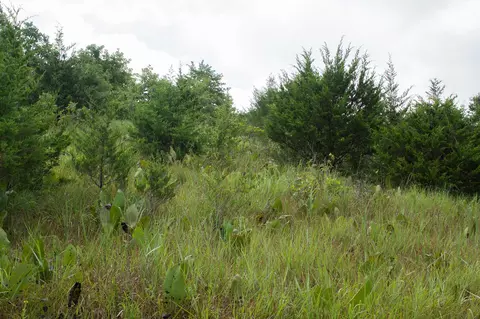 000 Highway 5, Squires, MO 65755 photo 20