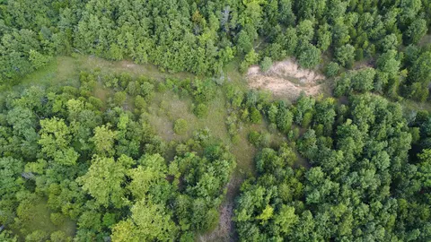 000 Highway 5, Squires, MO 65755 photo 9