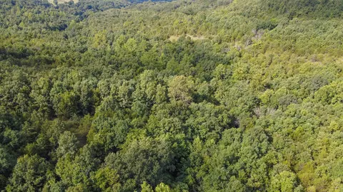 000 Highway 5, Squires, MO 65755 photo 18