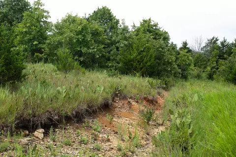 000 Highway 5, Squires, MO 65755 photo 21