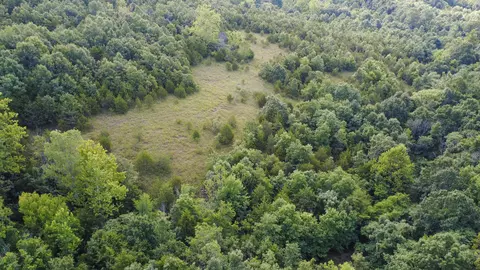 000 Highway 5, Squires, MO 65755 photo 10