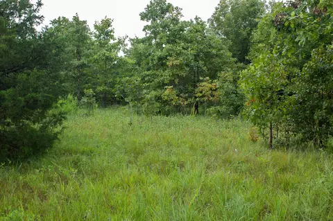 000 Highway 5, Squires, MO 65755 photo 26