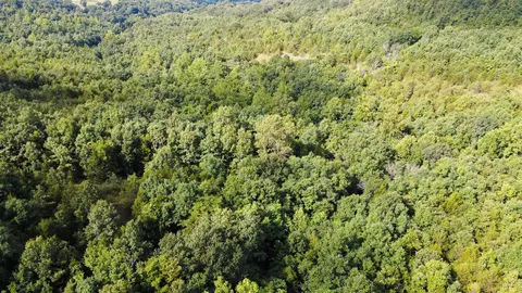 000 Highway 5, Squires, MO 65755 photo 17