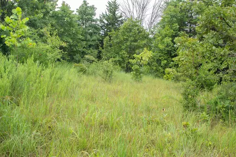 000 Highway 5, Squires, MO 65755 photo 23