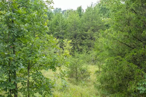 000 Highway 5, Squires, MO 65755 photo 29