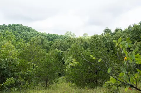 000 Highway 5, Squires, MO 65755 photo 42