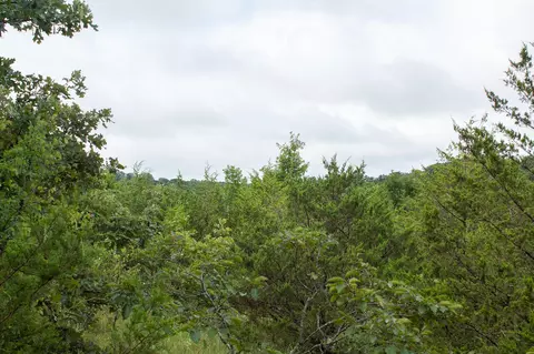 000 Highway 5, Squires, MO 65755 photo 37