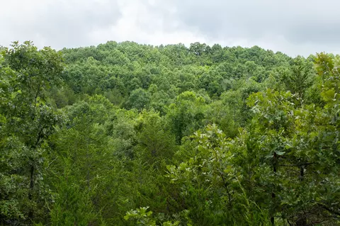 000 Highway 5, Squires, MO 65755 photo 46