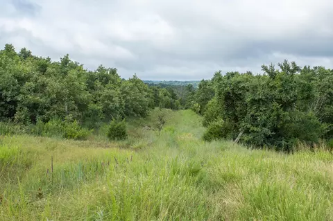 000 Highway 5, Squires, MO 65755 photo 19