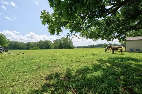 Exterior - 750 Big Timber Rd, Marshfield, MO 65706 photo 13 of 16