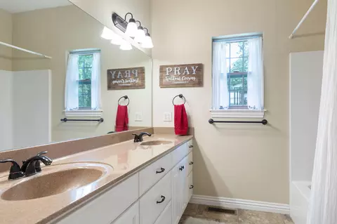 Bath - 245 N Ridge Pl, Branson, MO 65616 photo 3 of 4