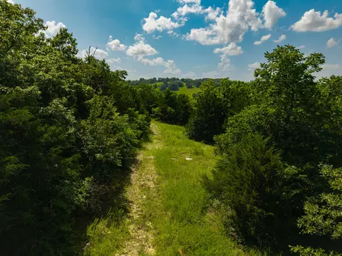 Other - 8441 County Road E 14-302 A, Ava, MO 65608 photo 11 of 11