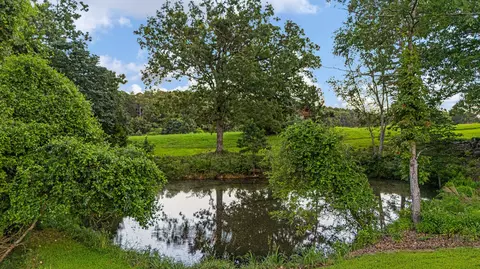 View/Area - 804 County Road E 14-357, Dora, MO 65637 photo 1 of 1
