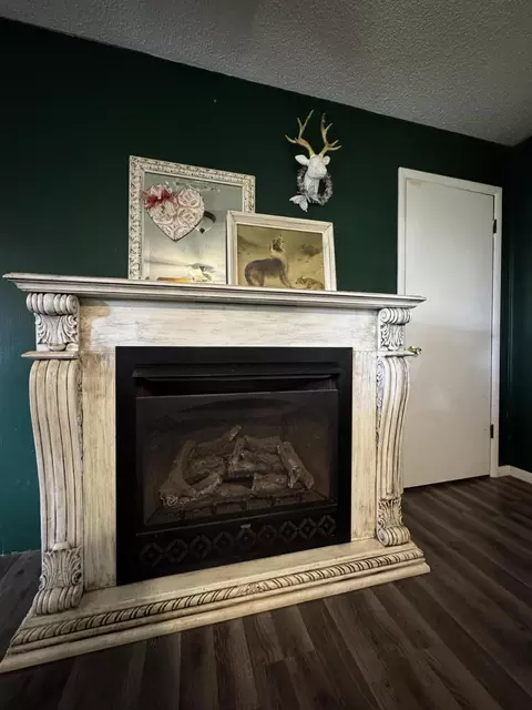 Other - 15232 E St Highway 76, Ava, MO 65608 photo 2 of 9