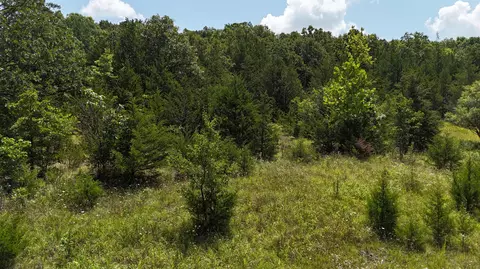 0 Mills Valley Blvd, Marshfield, MO 65706