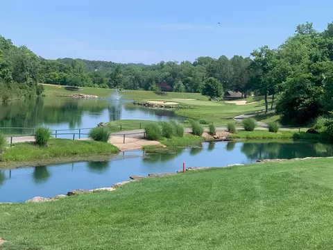 View/Area - 880 Black Forest Ln, Branson West, MO 65737 photo 4 of 8