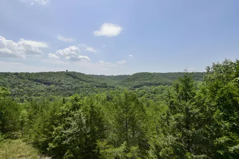 View/Area - 880 Black Forest Ln, Branson West, MO 65737 photo 1 of 8