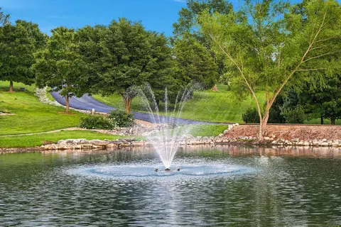 Other - 210 Whispery Ln, Ozark, MO 65721 photo 27 of 33