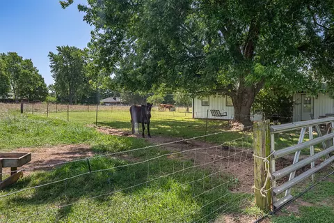 Exterior - 1905 E Webb Rd, Ozark, MO 65721 photo 21 of 27