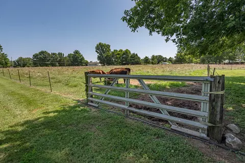 Other - 1905 E Webb Rd, Ozark, MO 65721 photo 23 of 23