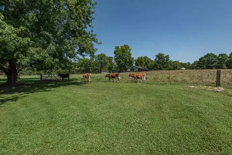Exterior - 1905 E Webb Rd, Ozark, MO 65721 photo 22 of 27