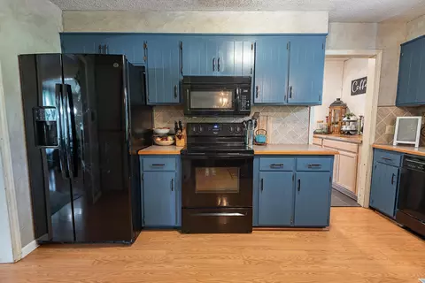Kitchen - 1905 E Webb Rd, Ozark, MO 65721 photo 3 of 5