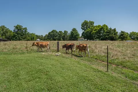 Exterior - 1905 E Webb Rd, Ozark, MO 65721 photo 19 of 27