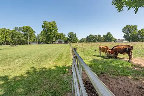 Exterior - 1905 E Webb Rd, Ozark, MO 65721 photo 23 of 27