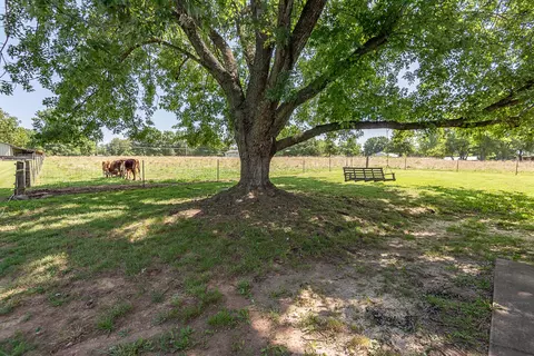 Exterior - 1905 E Webb Rd, Ozark, MO 65721 photo 10 of 27