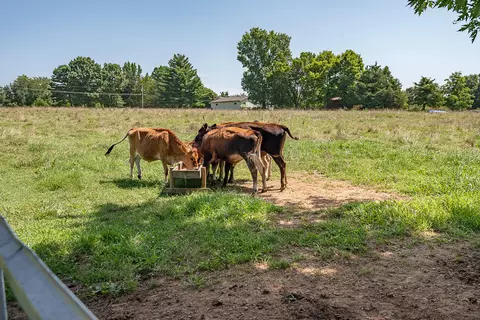 Other - 1905 E Webb Rd, Ozark, MO 65721 photo 22 of 23