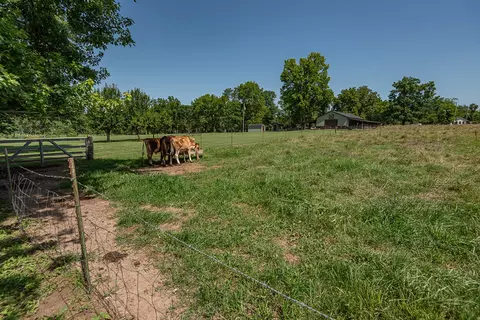 Exterior - 1905 E Webb Rd, Ozark, MO 65721 photo 25 of 27