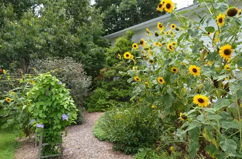Exterior - 160 Micahs Xing, Reeds Spring, MO 65737 photo 9 of 10